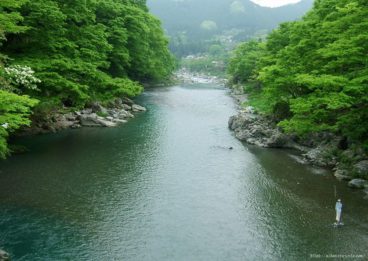 多摩川と緑が美しい☆